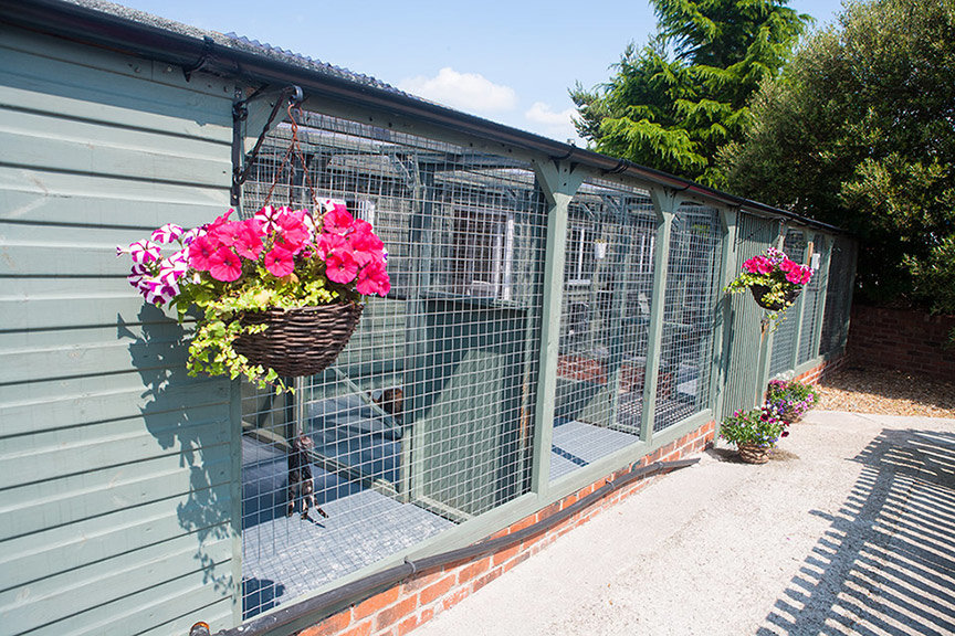 Luxury Cattery in Chesterfield